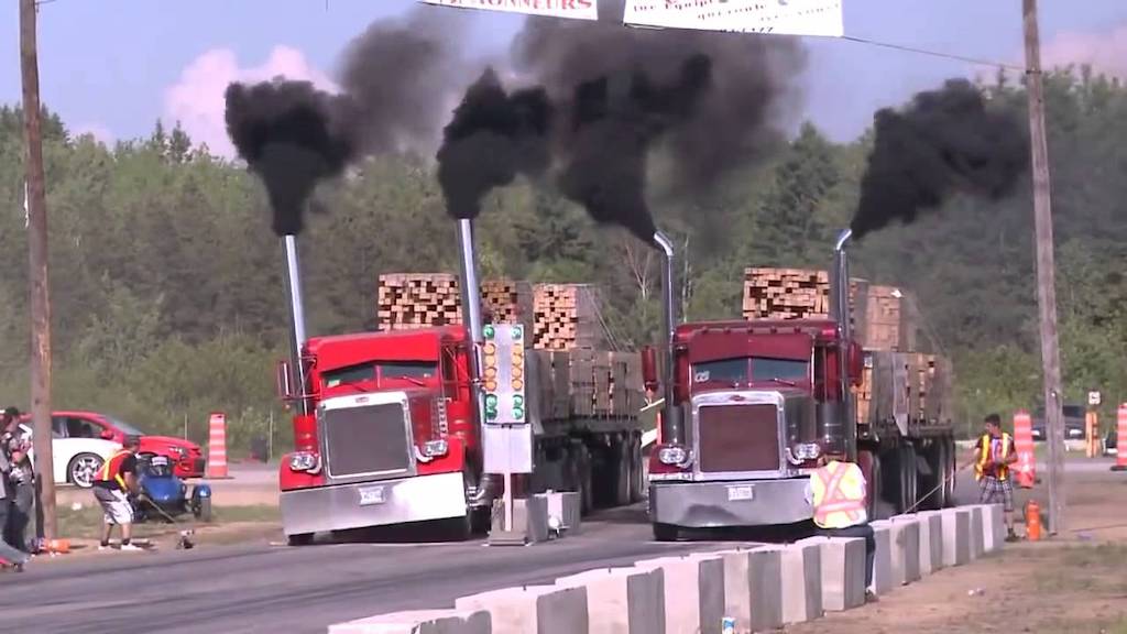 Contaminación del medio ambiente