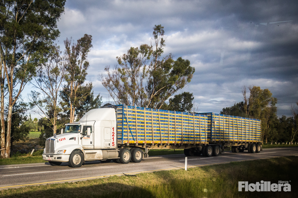 Caítulo 15 del TMEC y el autotransporte