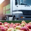 La importancia de la cadena de frío en el transporte de alimentos