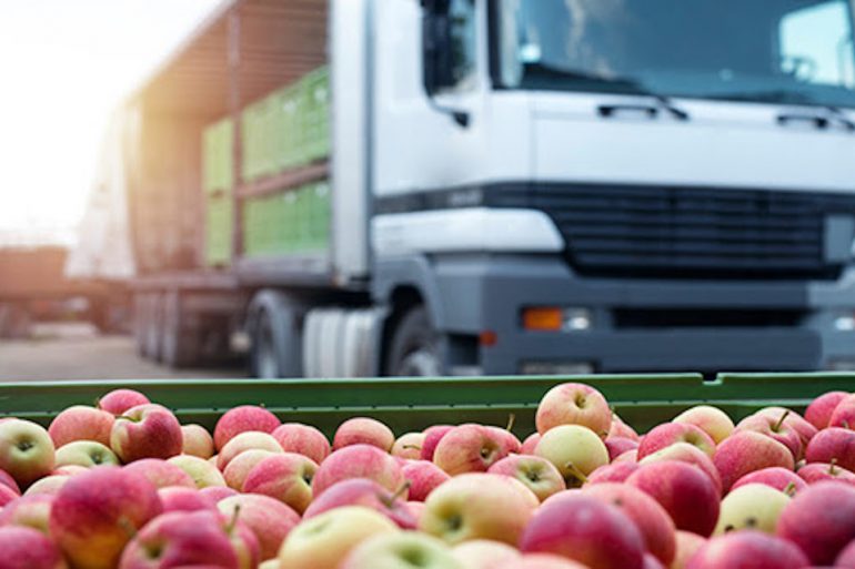 La importancia de la cadena de frío en el transporte de alimentos