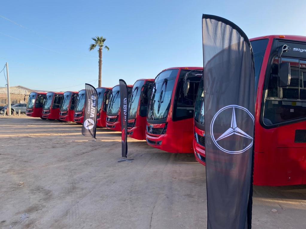 81 nuevos autobuses Mercedes-Benz recorrerán Baja California