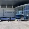 Flecha Amarilla