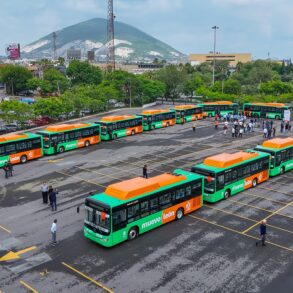 Autobuses Nuevo León