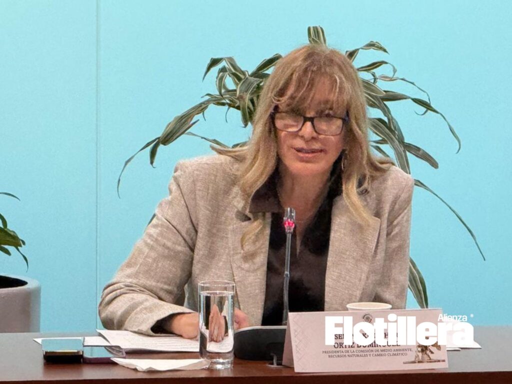 Senadora Maki Ortiz Domínguez, Presidenta de la Comisión de Medio Ambiente, Recursos Naturales y Cambio Climático del Senado de la República. Descarbonización del autotransporte