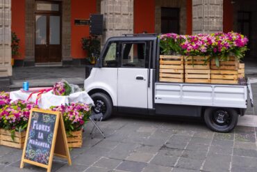 Olinia Carga