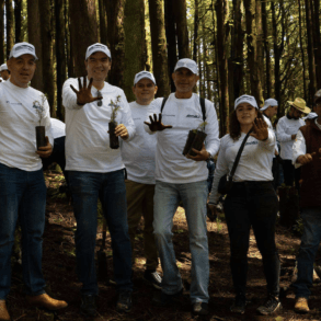 ANPACT reforestación