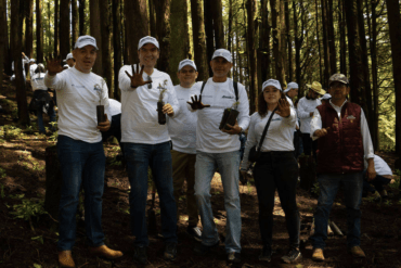 ANPACT reforestación