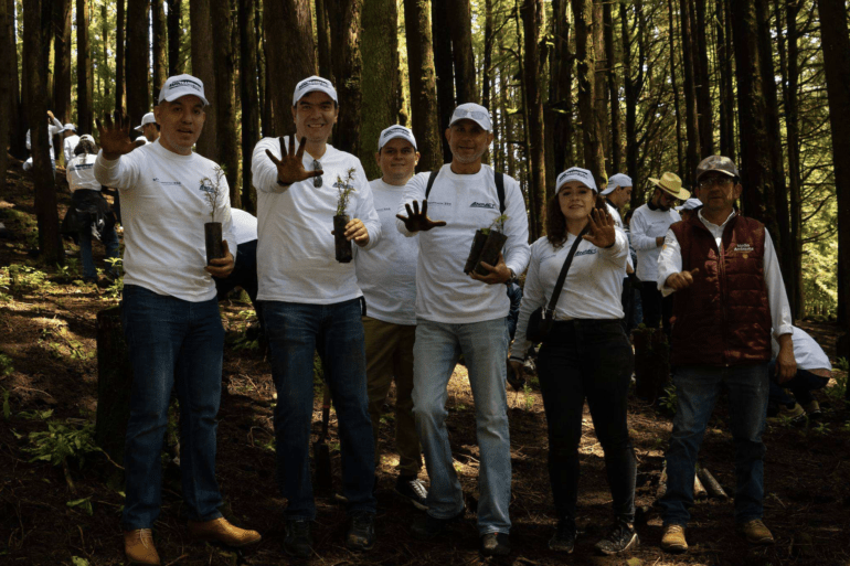 ANPACT reforestación